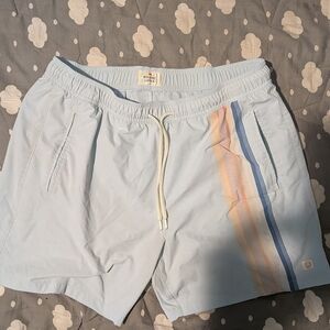 Marine Layer Athletic Shorts with Stripes